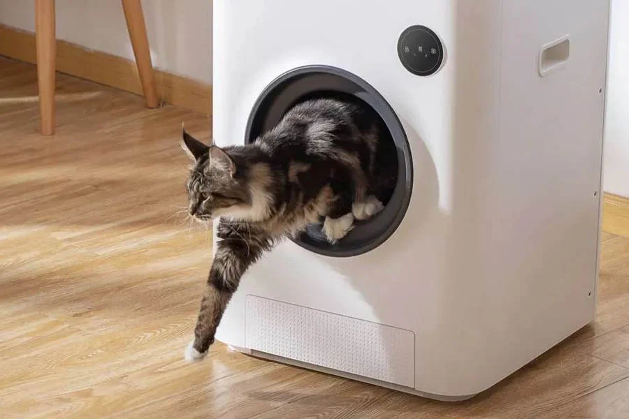 automatic cat litterbox